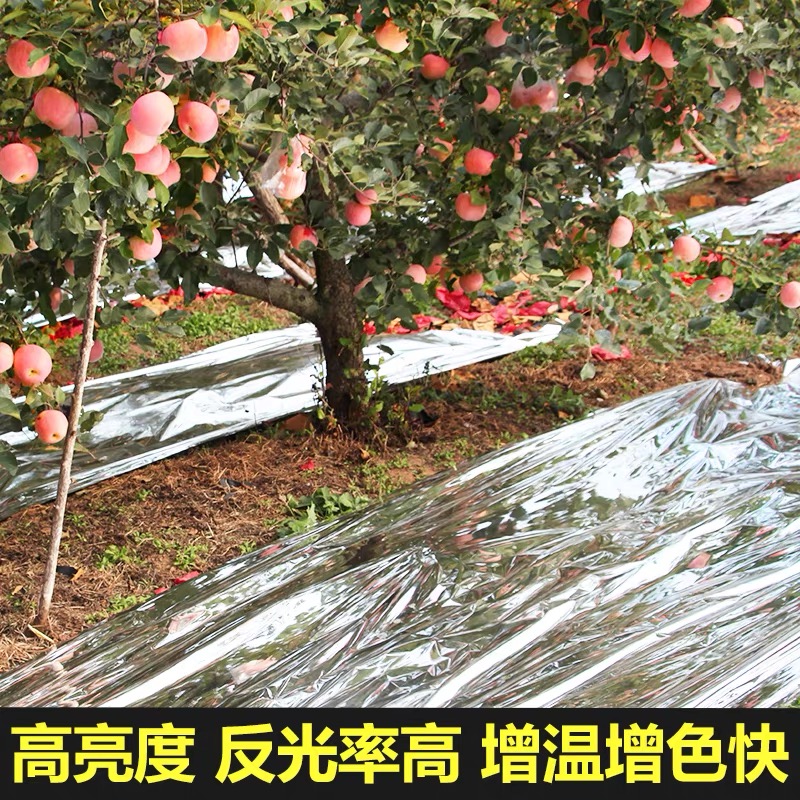 咸阳市塑料薄膜果树反光膜 - 一站式服务